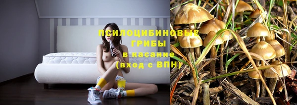 бутират Аркадак