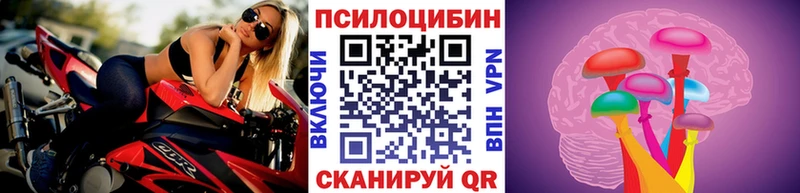 Псилоцибиновые грибы прущие грибы  продажа наркотиков  Сысерть 
